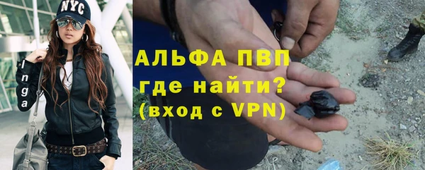 стафф Богданович