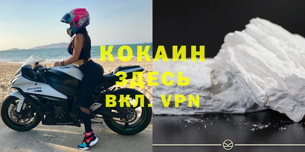 стафф Богданович