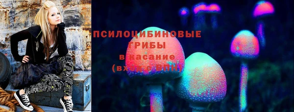 ПСИЛОЦИБИНОВЫЕ ГРИБЫ Богородск